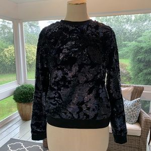 Holiday Ready! Black Velvet & Sequin Sweater